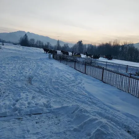 Domek Zakopane Tatrzański Kącik Zewnętrze zdjęcie